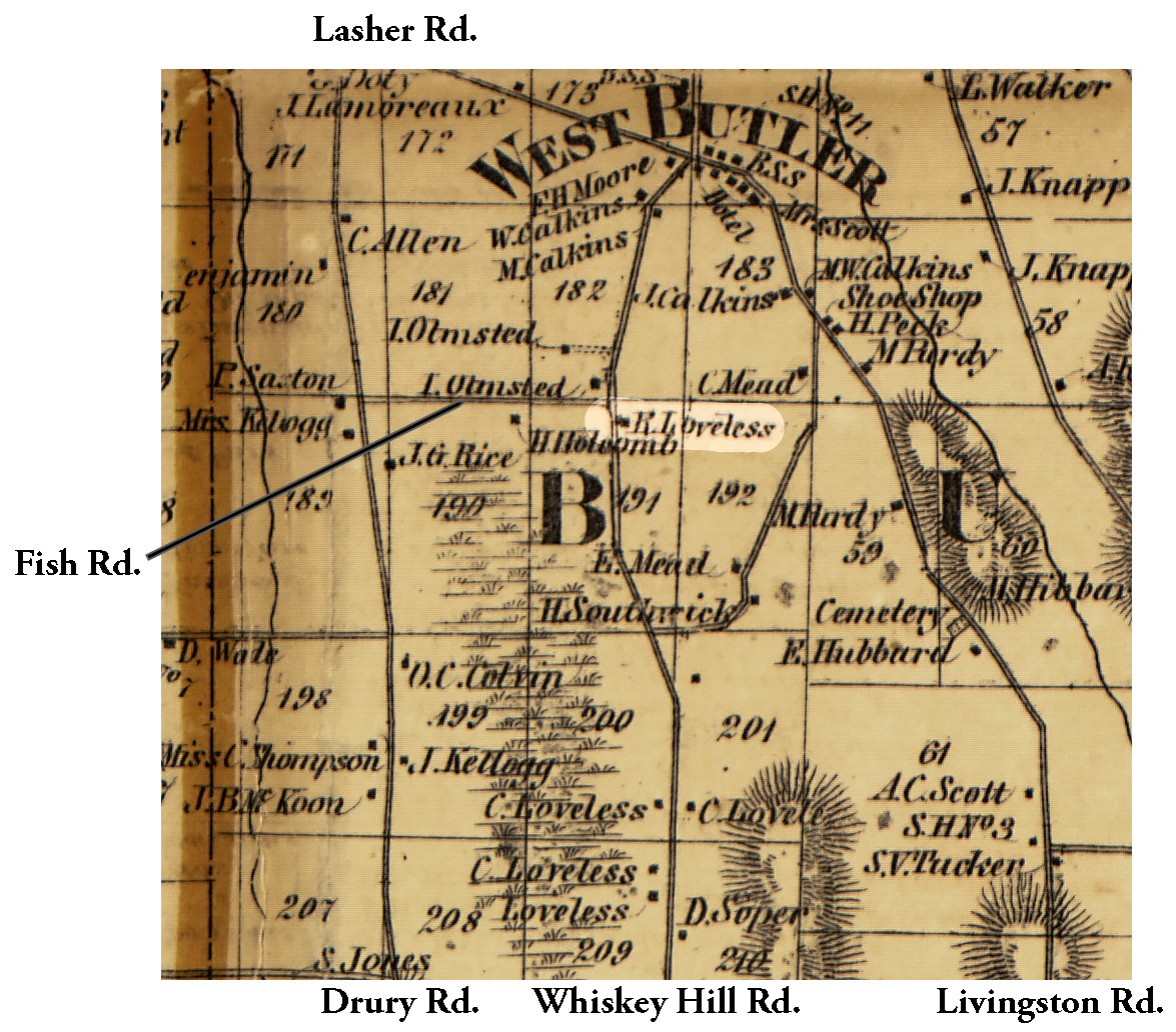 1858 Wayne County But-3 Excerpt Map